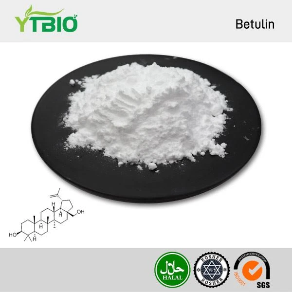 info-1-1 Betulin