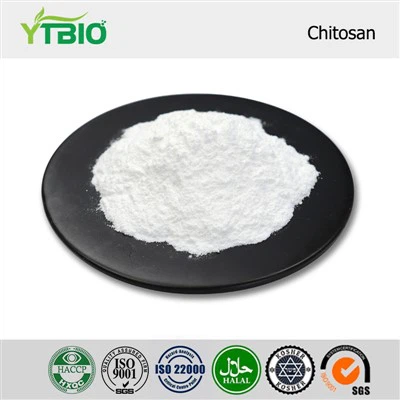polvere di chitosano