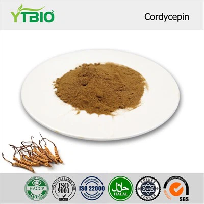 Polvere di cordicepina