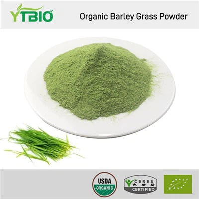 Polvere di erba d'orzo biologica