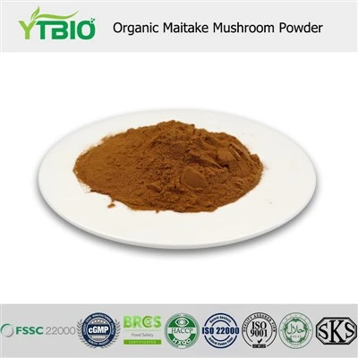 Polvere di funghi Maitake biologica