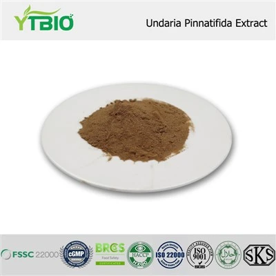 Estratto di Undaria Pinnatifida